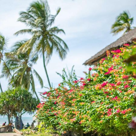 Beachfront Villa Ladha Ya Zanzibar جامبياني المظهر الخارجي الصورة