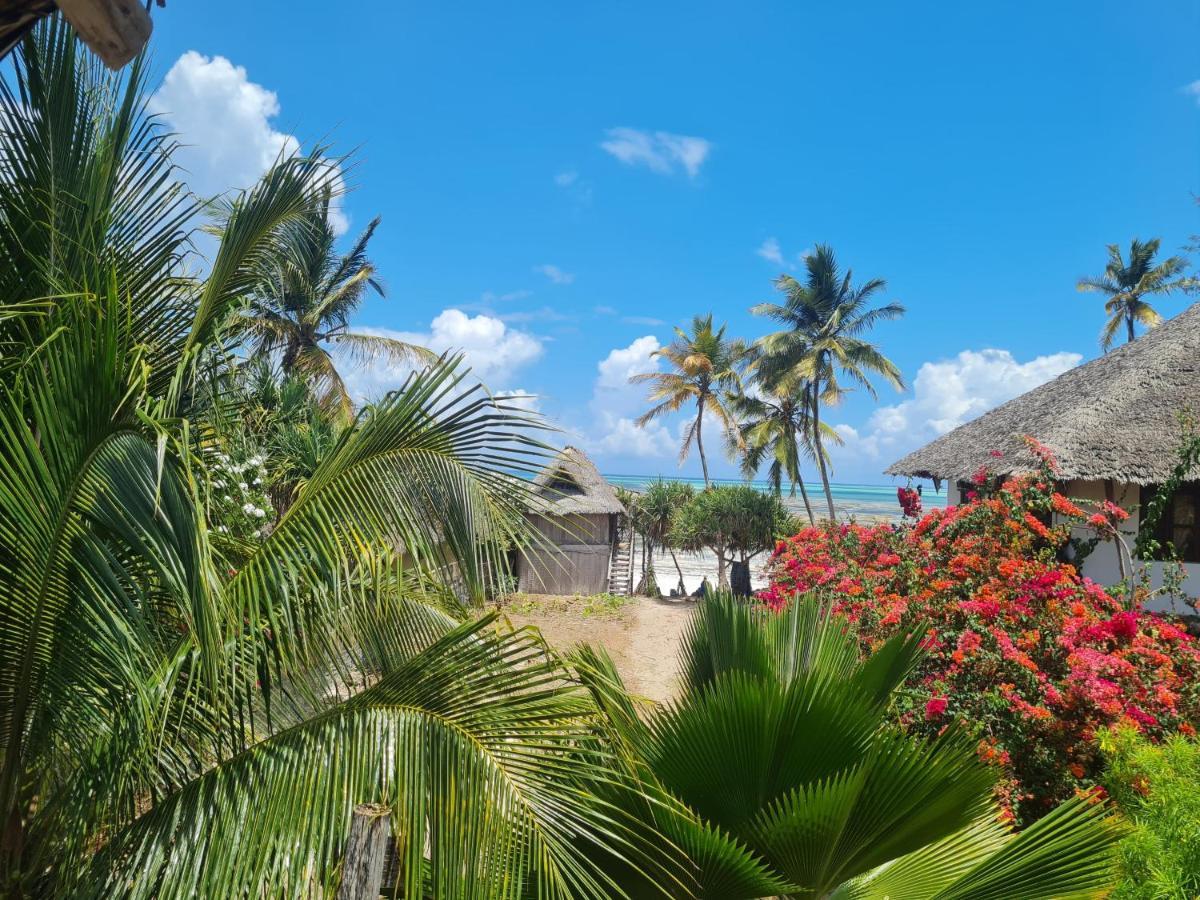 Beachfront Villa Ladha Ya Zanzibar جامبياني المظهر الخارجي الصورة