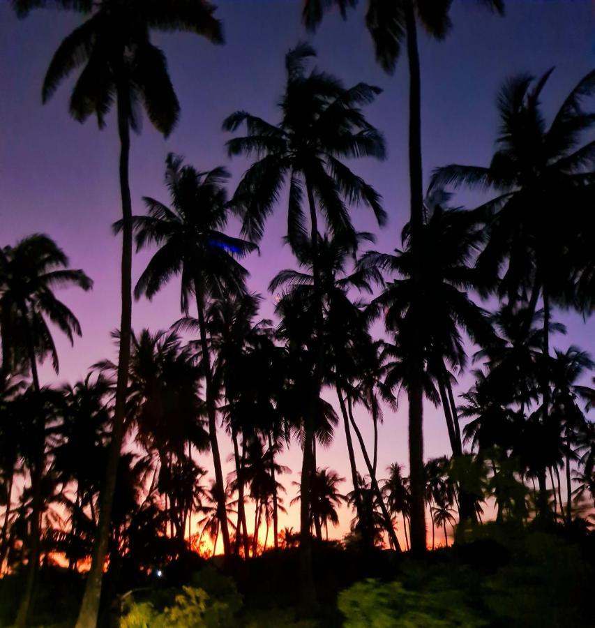 Beachfront Villa Ladha Ya Zanzibar جامبياني المظهر الخارجي الصورة