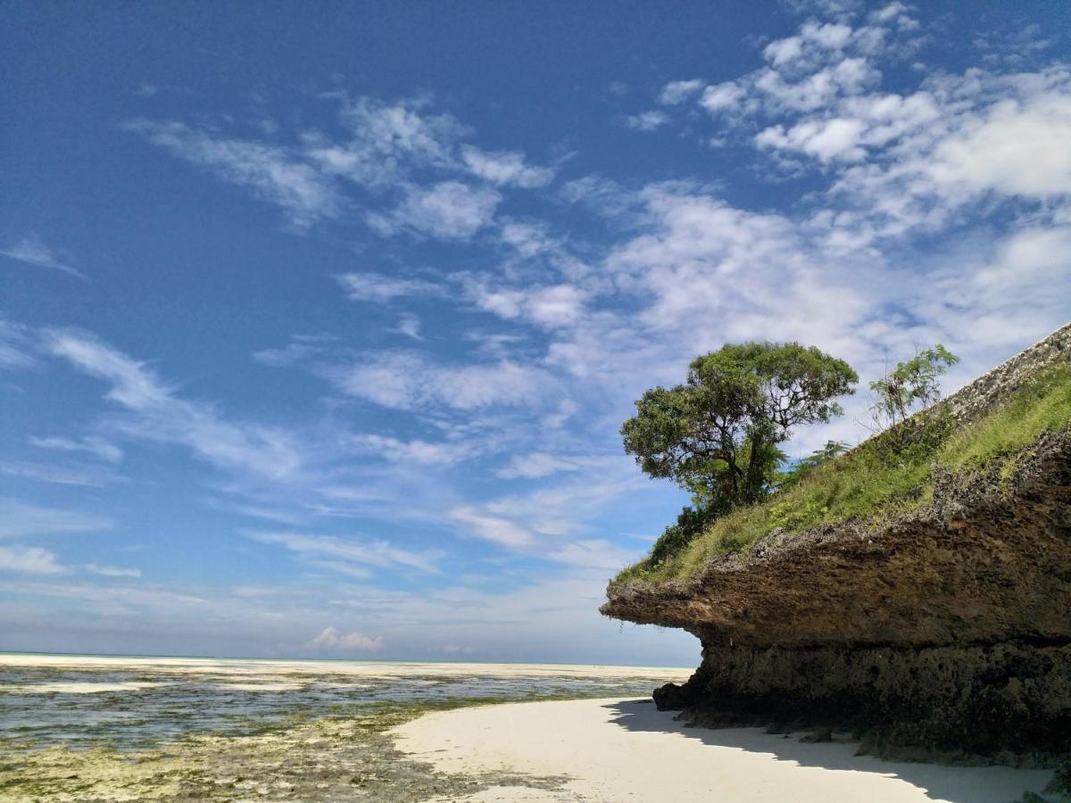 Beachfront Villa Ladha Ya Zanzibar جامبياني المظهر الخارجي الصورة