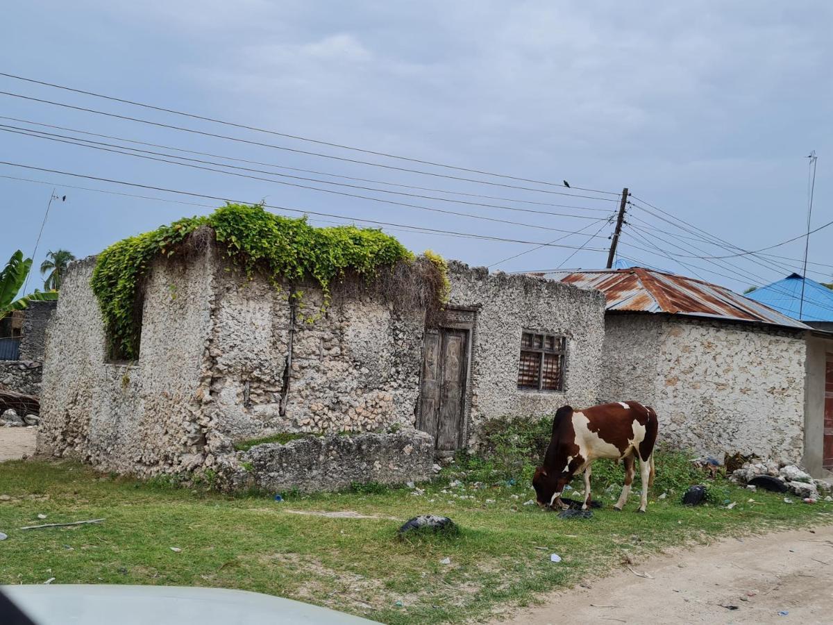 Beachfront Villa Ladha Ya Zanzibar جامبياني المظهر الخارجي الصورة