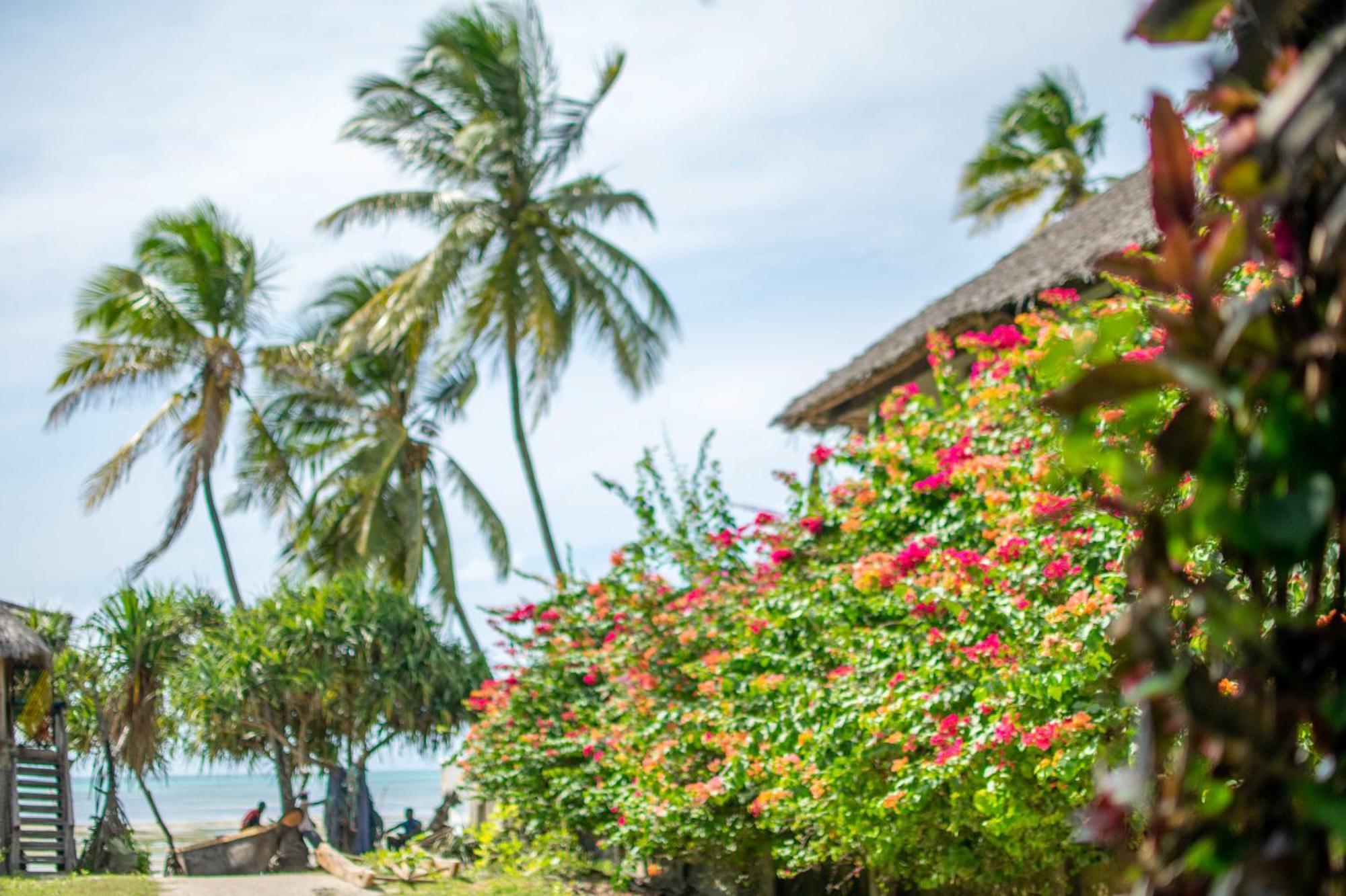 Beachfront Villa Ladha Ya Zanzibar جامبياني المظهر الخارجي الصورة